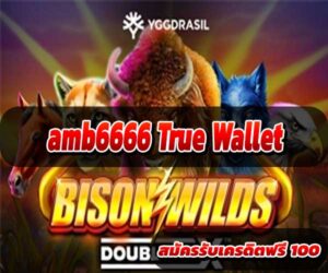 amb6666 True Wallet