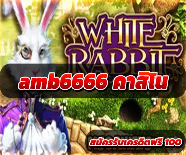 amb6666 คาสิโนสด