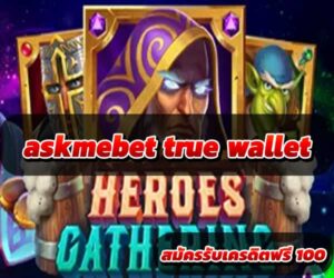 askmebet-true-wallet-4