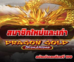 สมาชิกใหม่และเก่า