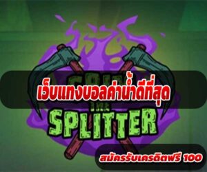 เว็บแทงบอลค่าน้ำดีที่สุด