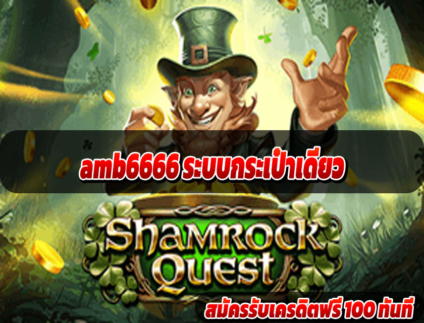 amb6666 ระบบกระเป๋าเดียว