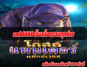 amb6666 เว็บสล็อตรวมทุกค่าย